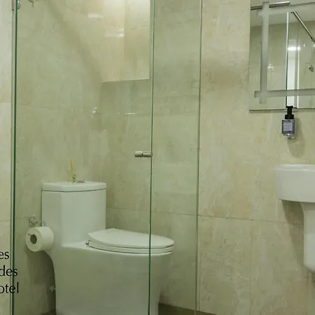 Hotel Des Indes Cartagena